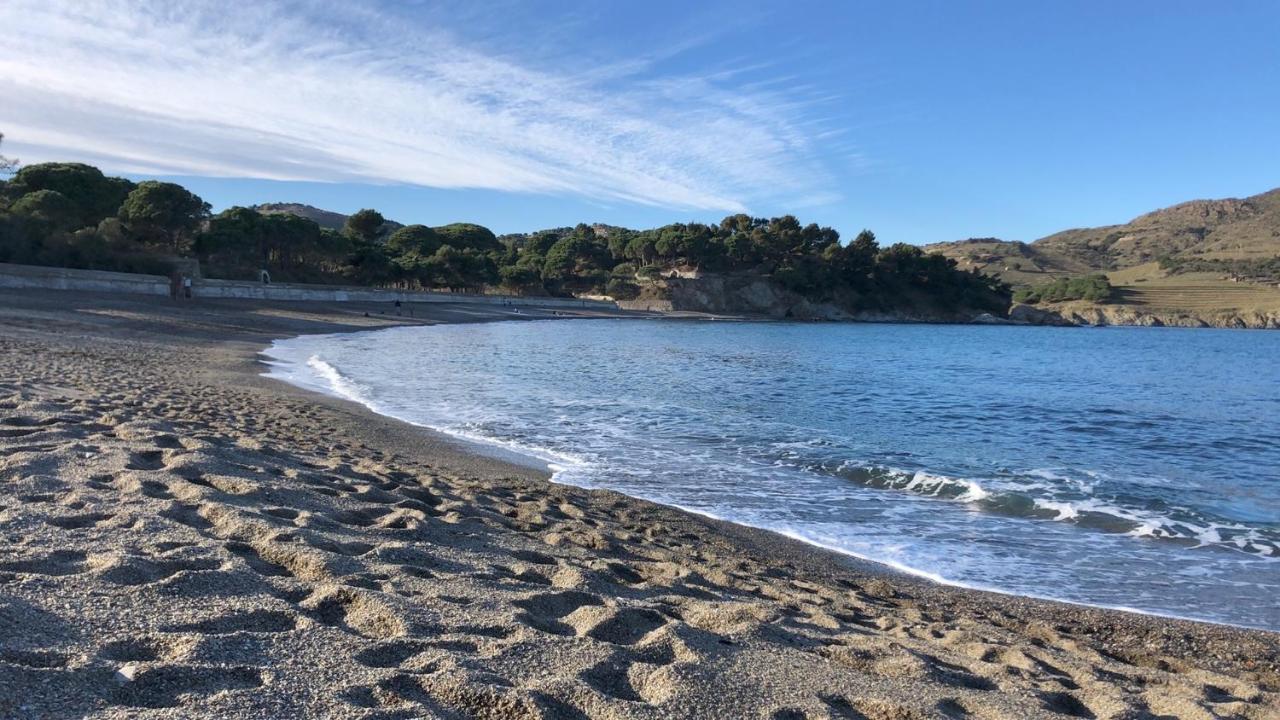 Vue Mer Panoramique Exceptionnelle L T2 Mezzanine Luxueux Banyuls-sur-Mer Eksteriør billede