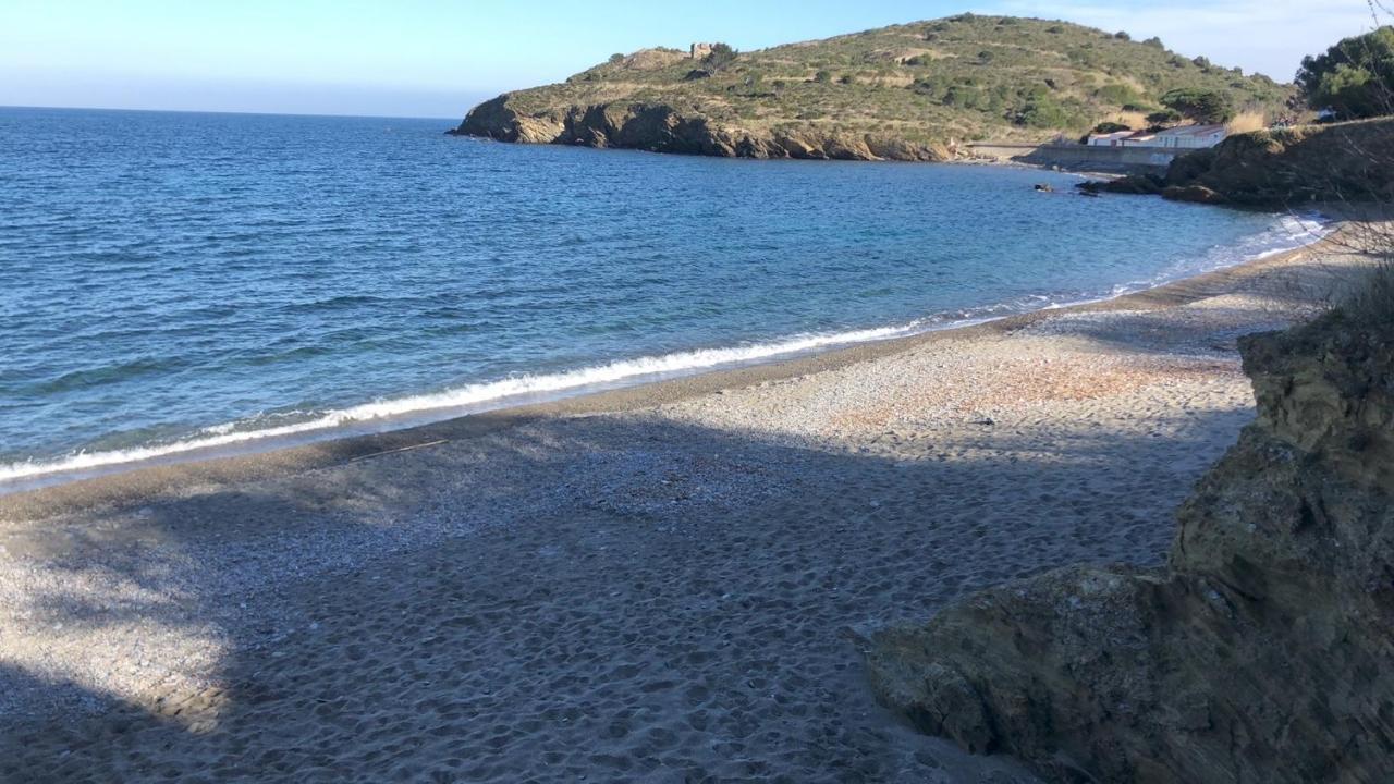 Vue Mer Panoramique Exceptionnelle L T2 Mezzanine Luxueux Banyuls-sur-Mer Eksteriør billede