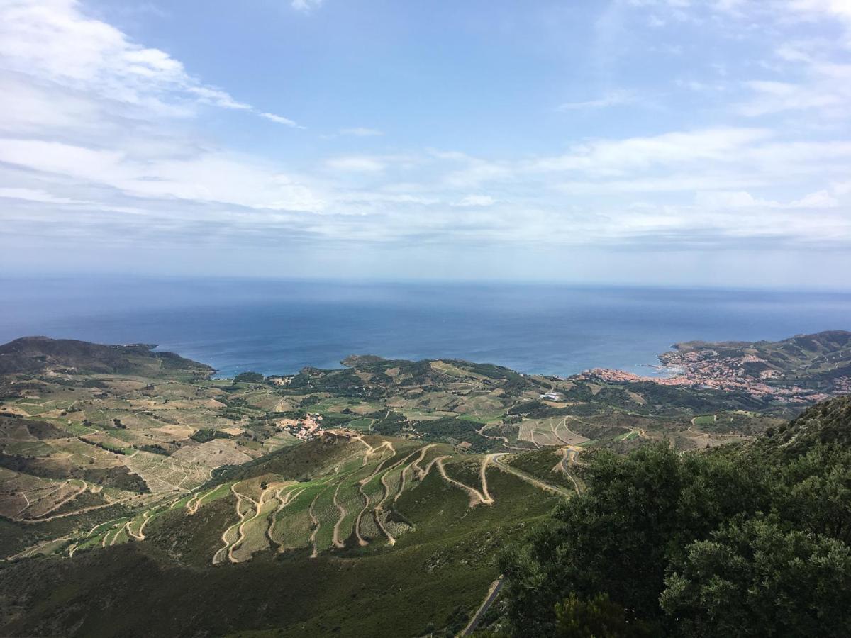 Vue Mer Panoramique Exceptionnelle L T2 Mezzanine Luxueux Banyuls-sur-Mer Eksteriør billede